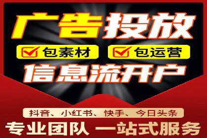 行业报告：专业SEM托管的成功实践与挑战